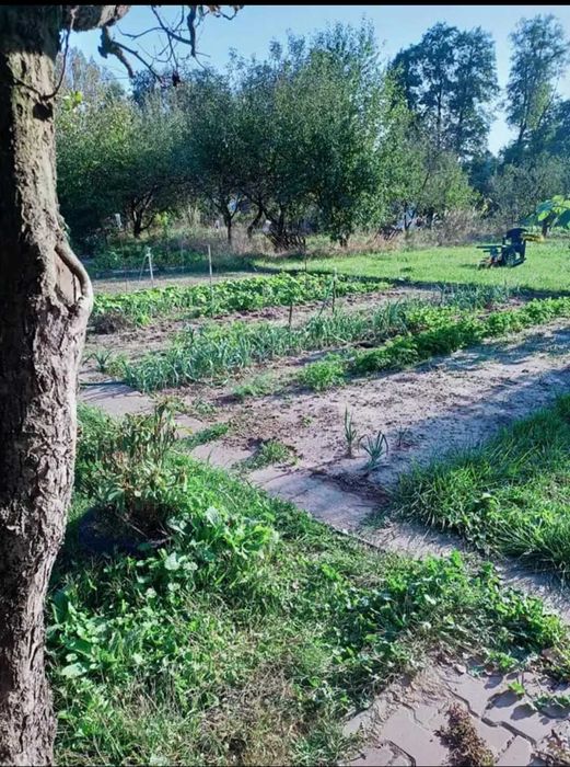 Działka rekreacyjna RODOS Staszów