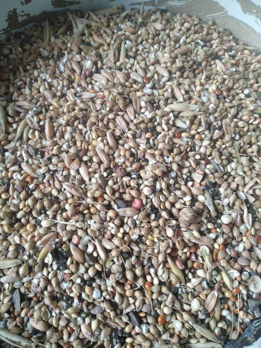 Мішанка для птиці та голубів