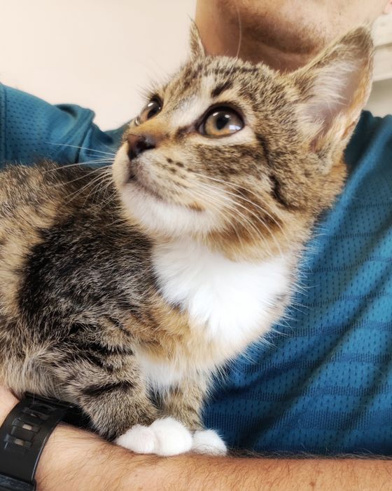 Maleństwo szuka miłości :)