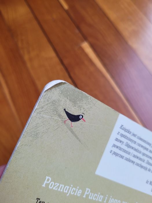 Pucio uczy się mówić, Wielka księga kolorów