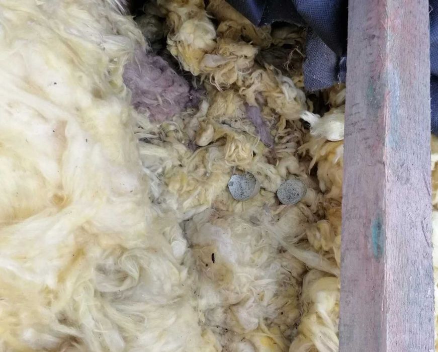 Naprawa dachu po kunie, naprawa izolacji po kunie, ocieplanie celulozą