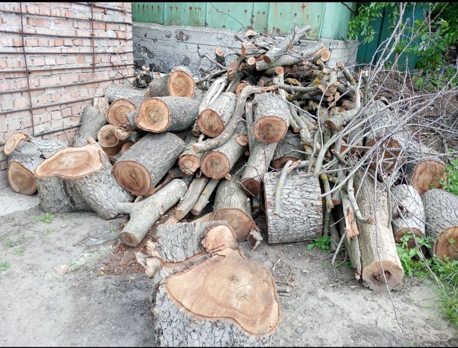 Продам     дрова .