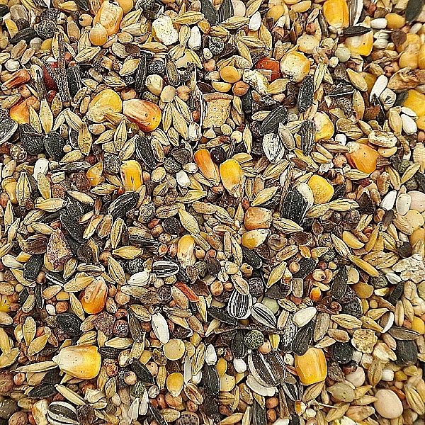 4,5kg Uniwersalna karma dla ptaków ziarno pokarm zimowy karmnik Champi