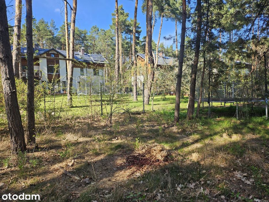 Józefów ul. Polna |919 m²|działka w otoczeniu zieleni i nowej zabudowy - More