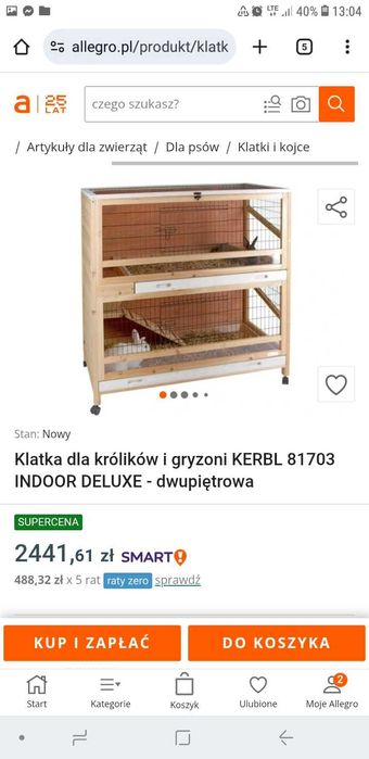 Dwa duże króliki klatka możliwy DOWÓZ królik