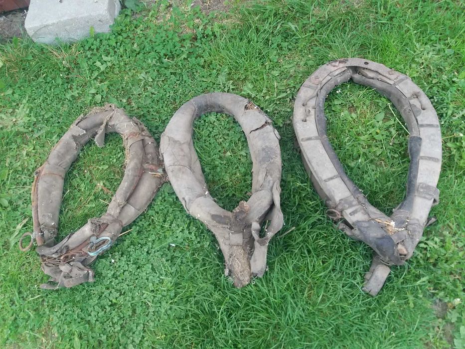 Stare homonta duze i małe homonto Sulechów • OLX.pl