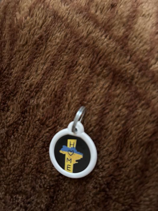 Нашийник шкіряний з світловідбивачем,адресник