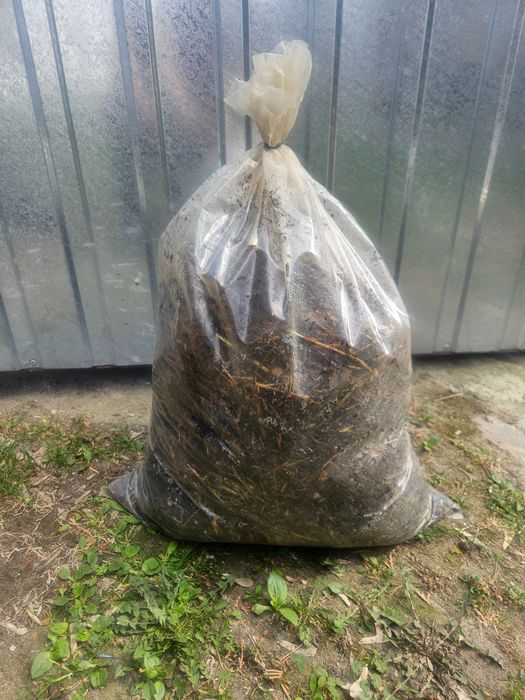 Obornik kurzy workowany