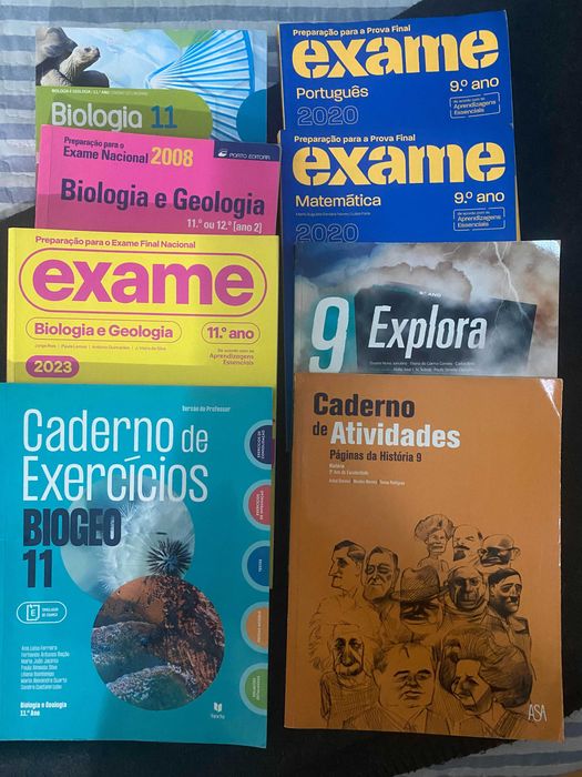 Diversos livros de diferentes anos letivos