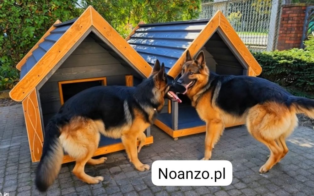 Buda dla psa z tarasem i oknem 180kg wysyłka cała PL