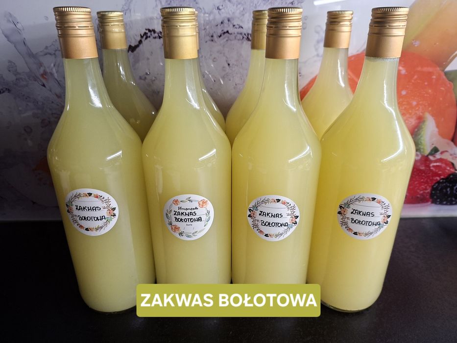 Sprzedam zakwas Bołotowa.
