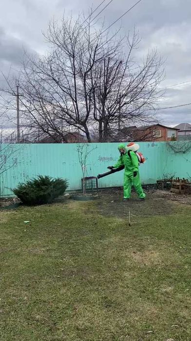 Травля тараканов срочно дезинсекция от тараканов уничтожение тараканов