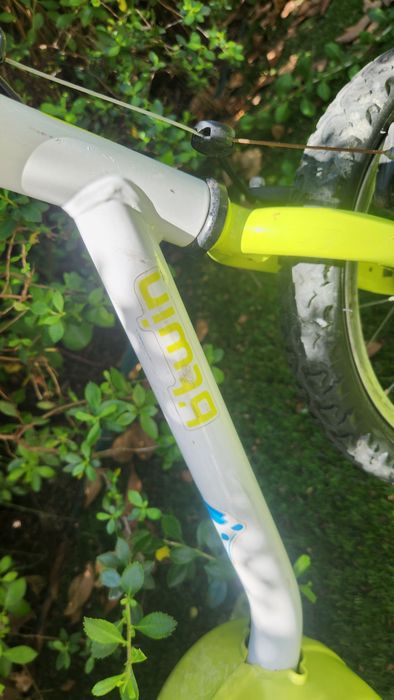 Bicicleta com pedais para criança