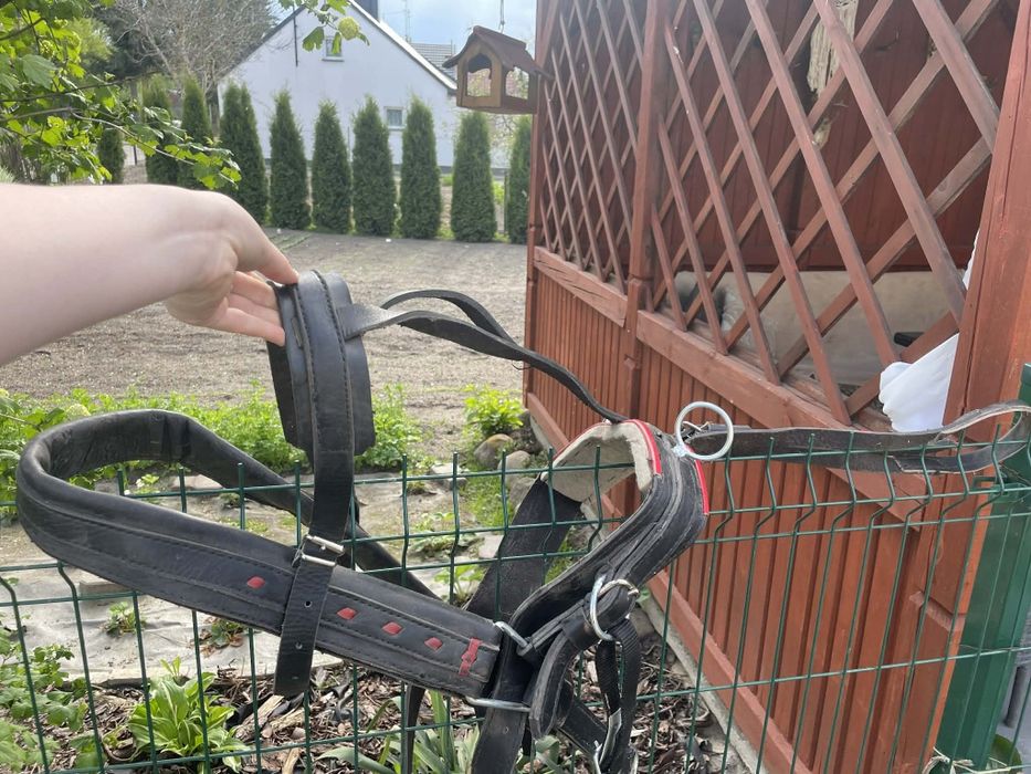 Sprzedam uprząż dla kuca