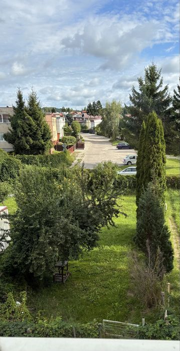 Zdjęcie 3