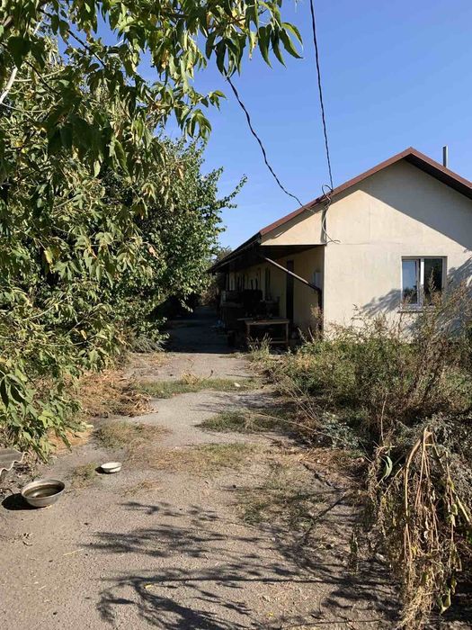 Здам в оренду ділянку під тепличне (парникове) господарство