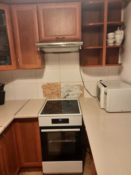 mieszkanie do wynajęcia w centrum