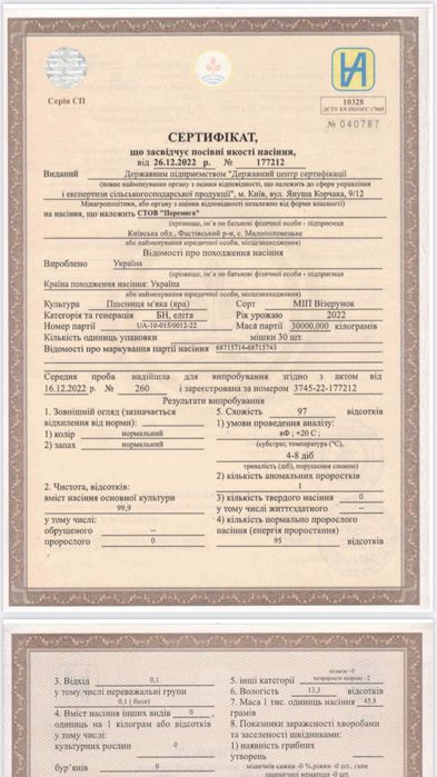Яра пшениця «Візерунок» м‘яка
