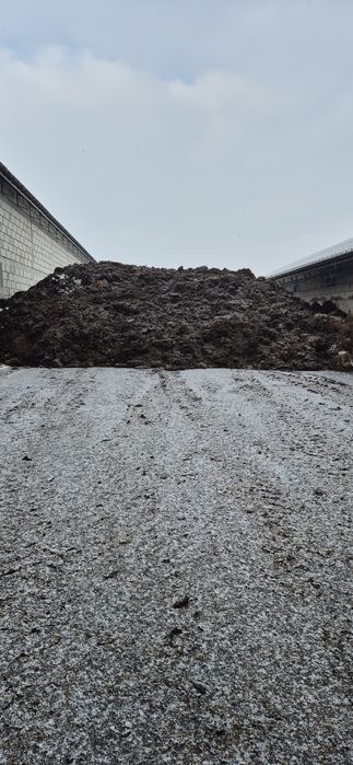 Obornik bydlęcy duża ilość zamiana za słomę