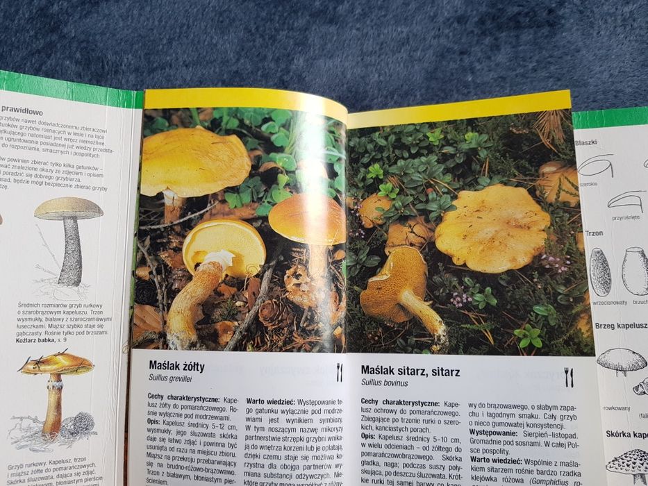 Grzyby - przewodnik kieszonkowy, jadalne i trujące, grzybobranie