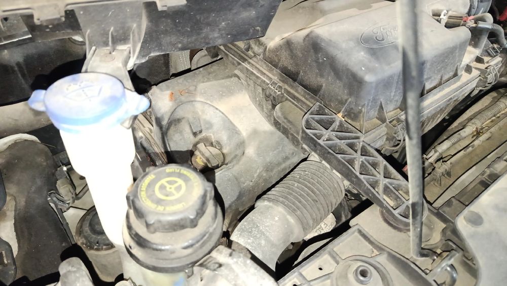Motor completo FORD Transit Custom
