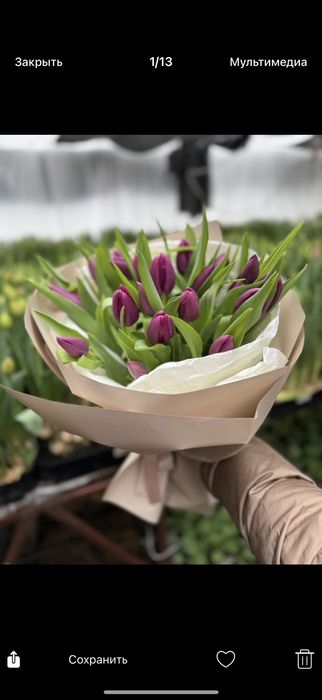 Тюльпаны к 8 марта, ОПТ розница ФОП