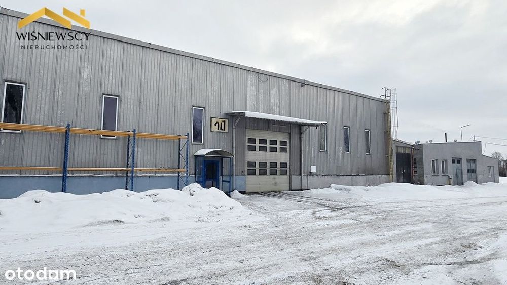 Hala typu Berlin ~1274 m² Elbląg przy S7