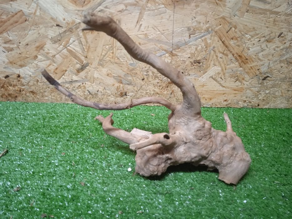 Korzeń do akwarium Red Moore Wood nr 473 o wymiarach 22/16/20