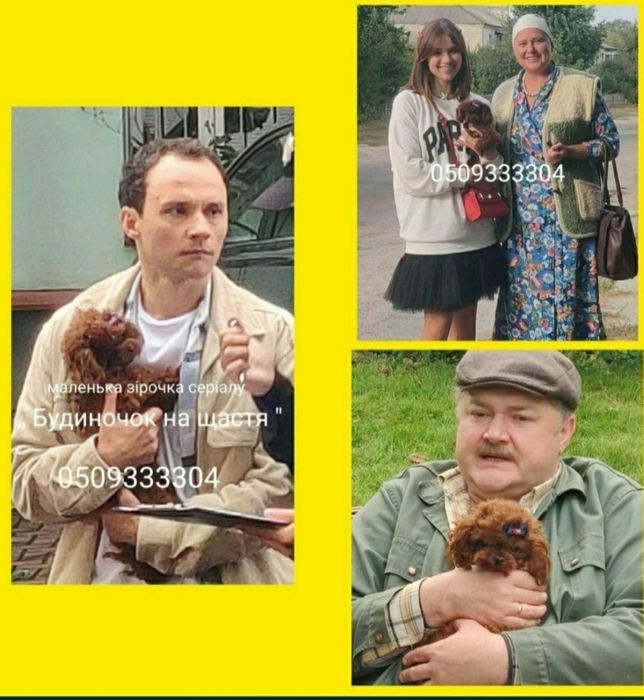 ‼️Папин сынуля‼️