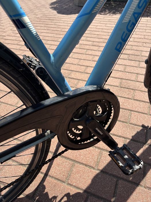 Rower Pegasus Piazza 50