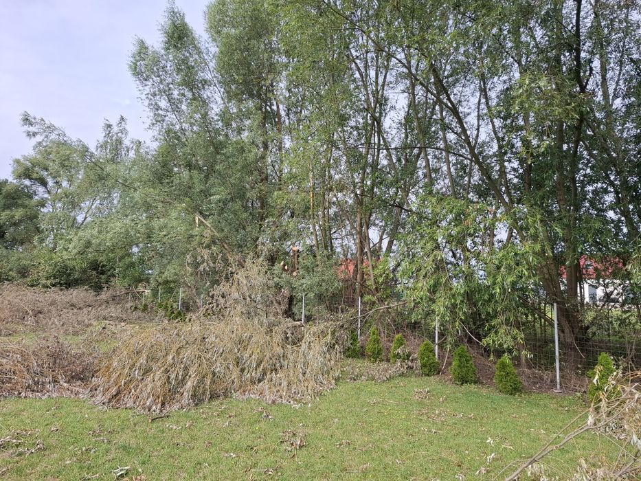 Karczowanie wycinka
