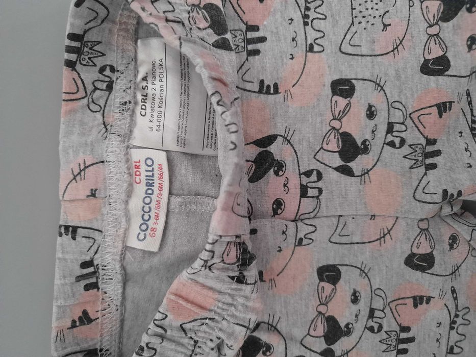 Leginsy Coccodrillo r.68