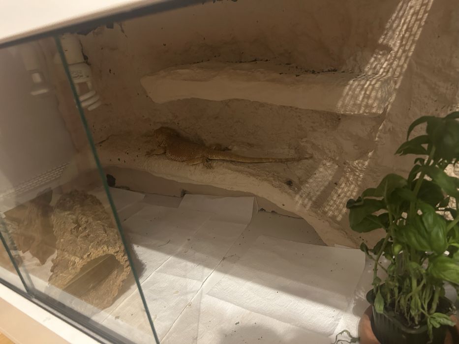 Terarium 60x120x60