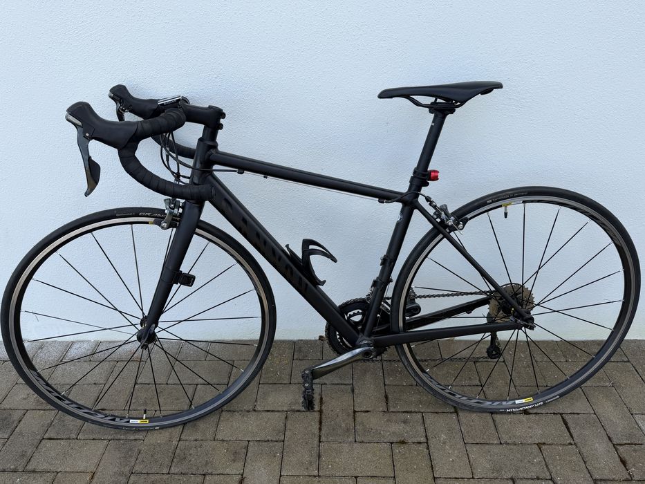 Canyon Endurance AL 6.0 WMN