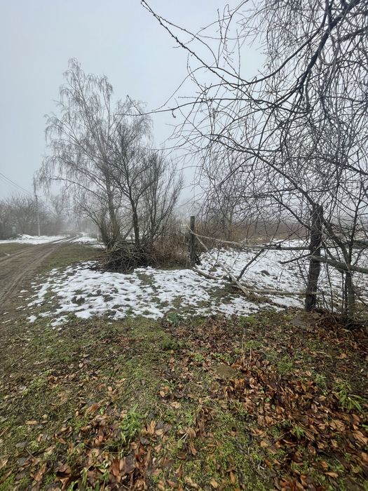 Земельна ділянка