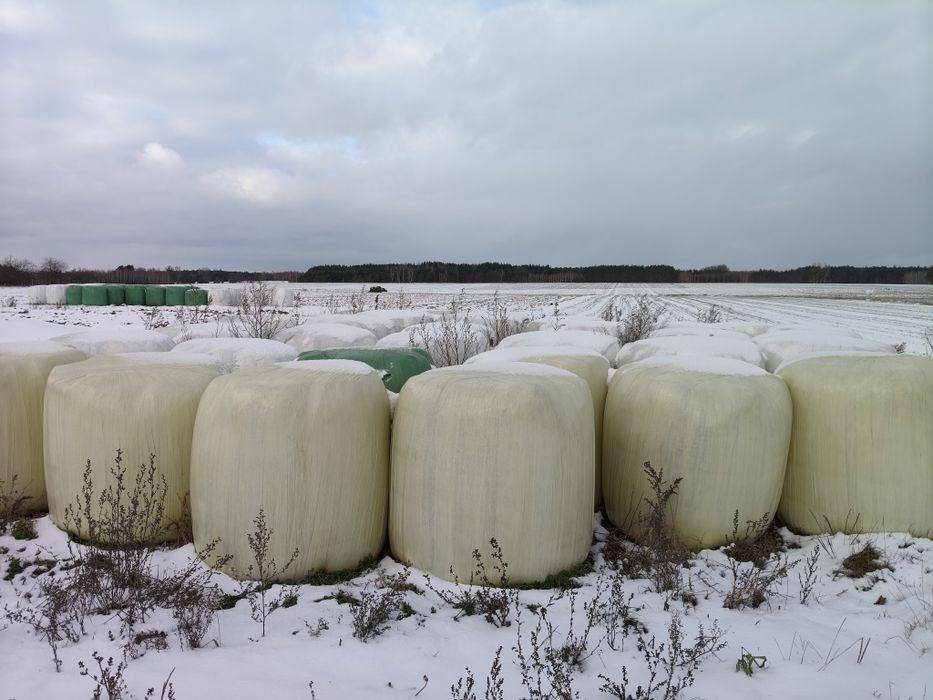 Sianokiszonka baloty