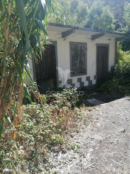 Antiga Mercearia com 1.600m² – Ideal para Taberna da Poncha