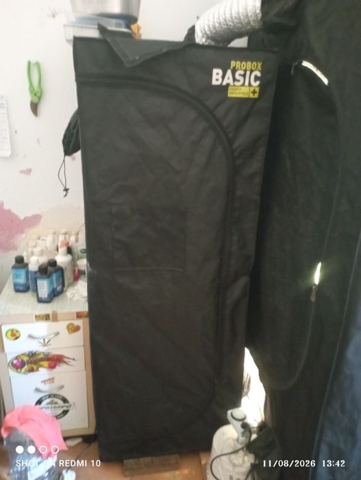 Tenda pra cultivo de Tomates InDoor