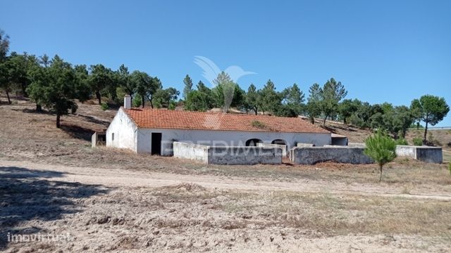 Conjunto de duas herdades 71,70 hectares, junto à vila de Mora.