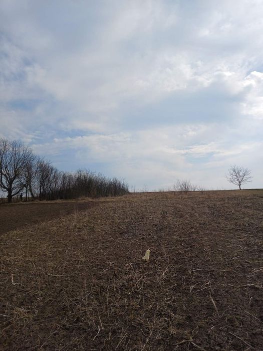 Земельна ділянка