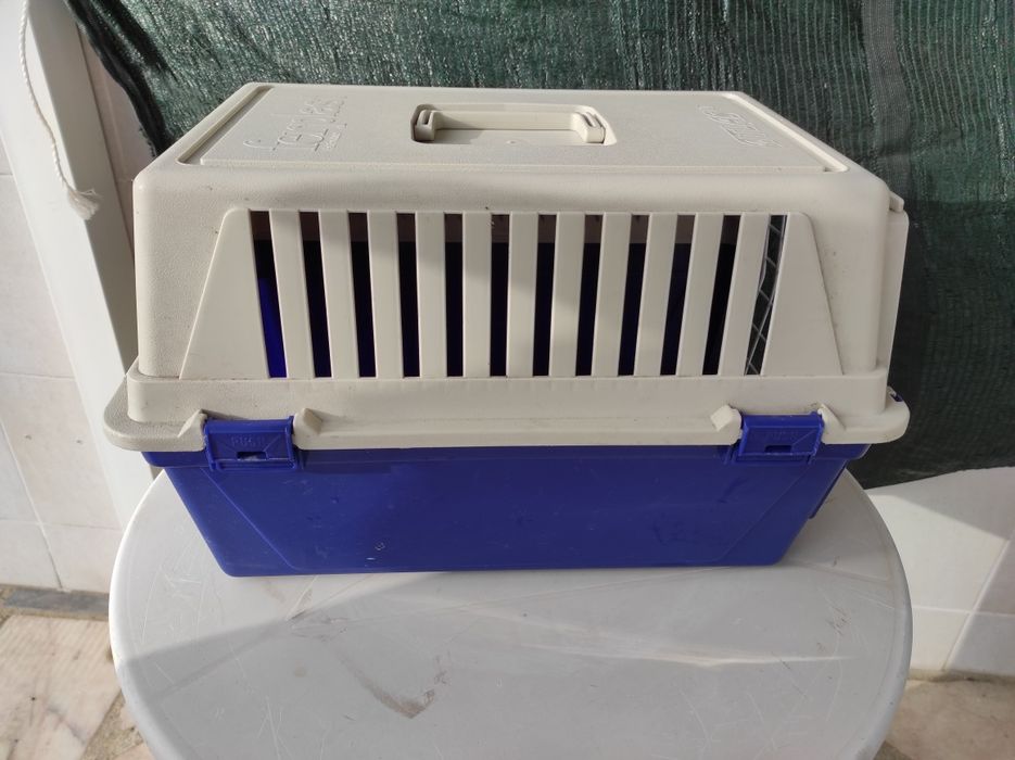 transportadora de animais