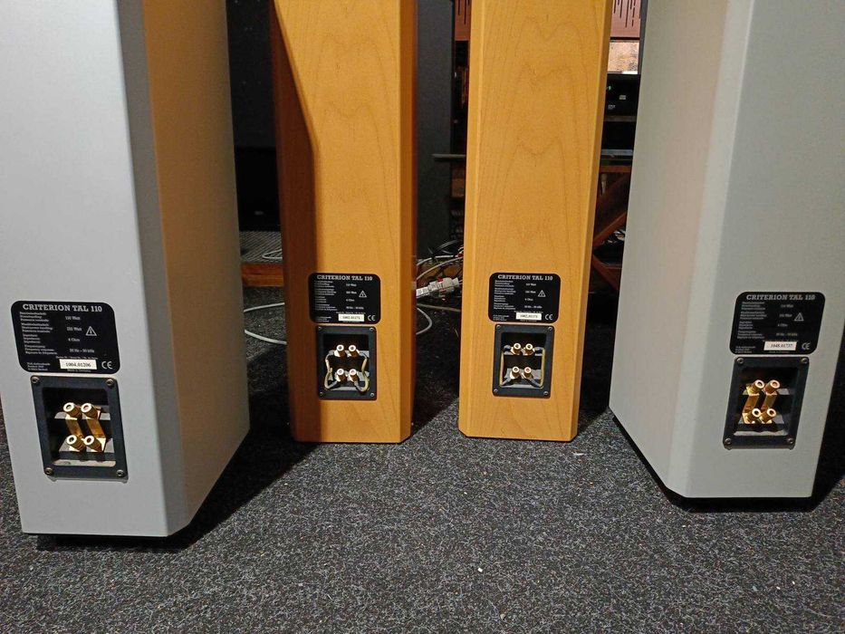 T+A criterion TAL 110 колонки хай енд