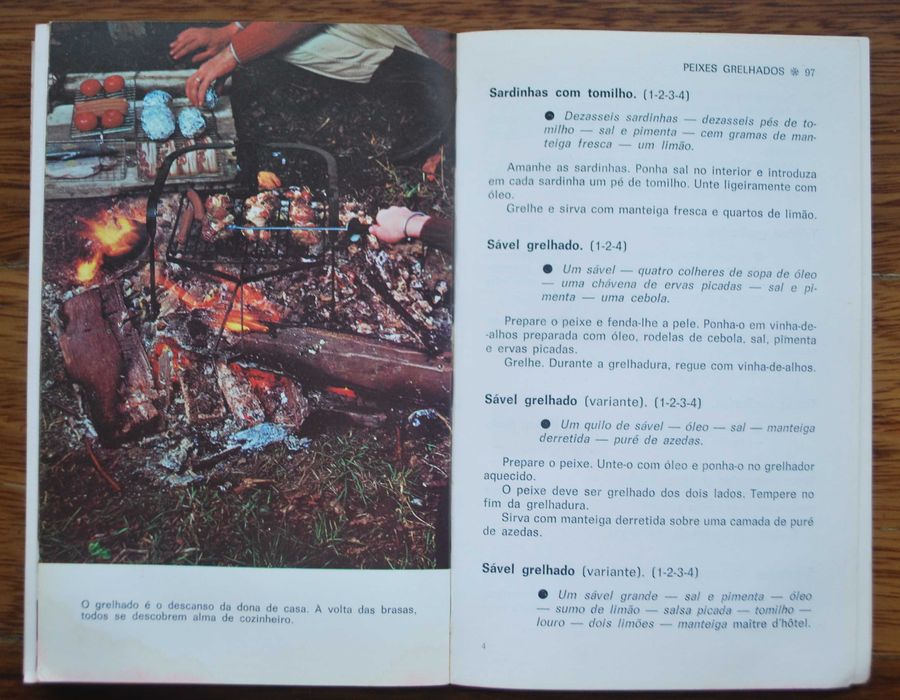 Guia Prático de Grelhados