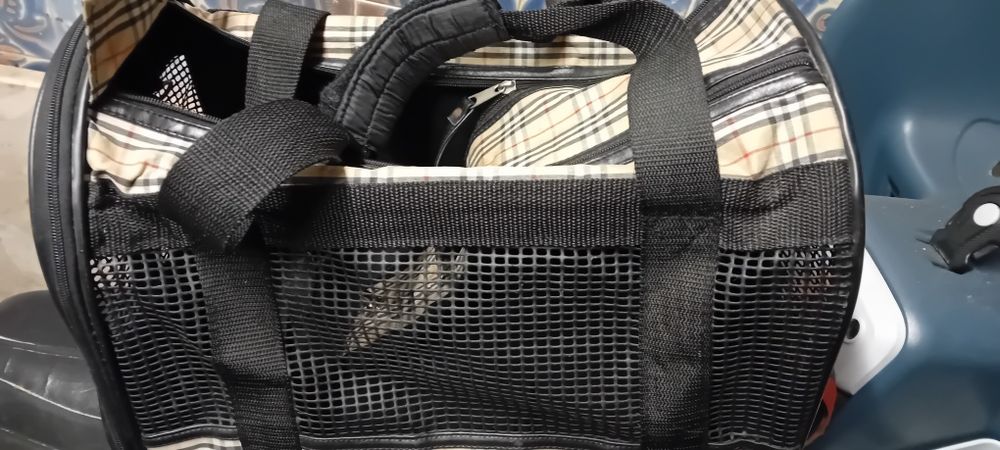 Transportadora  para animais
