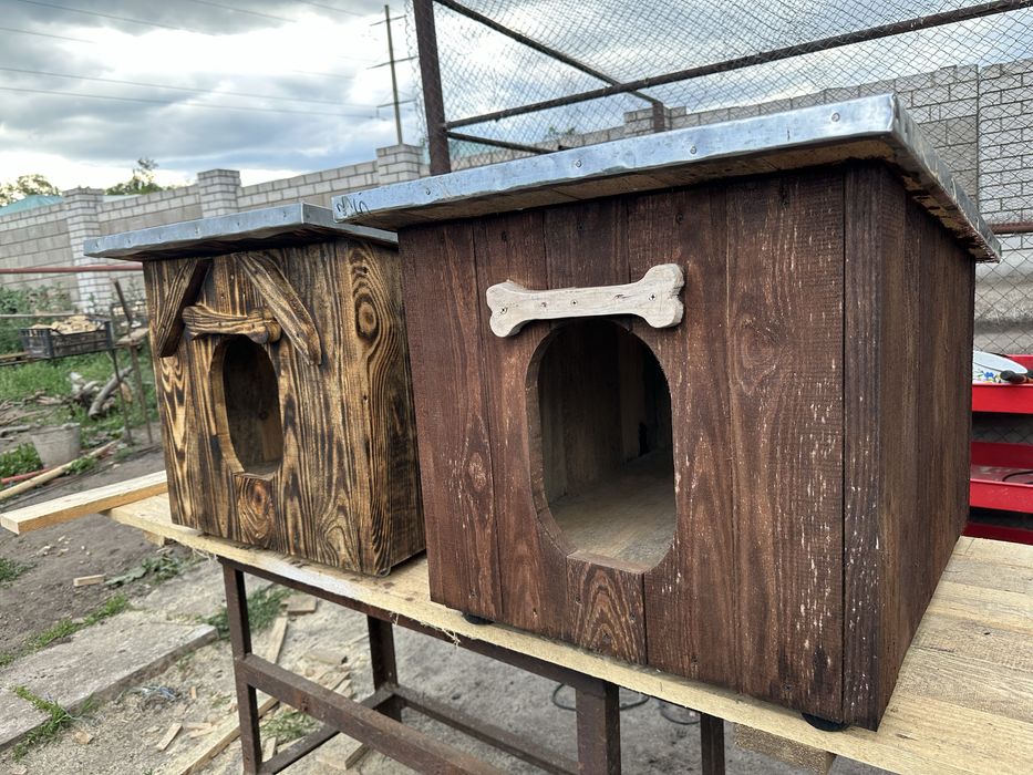 Собачі будки