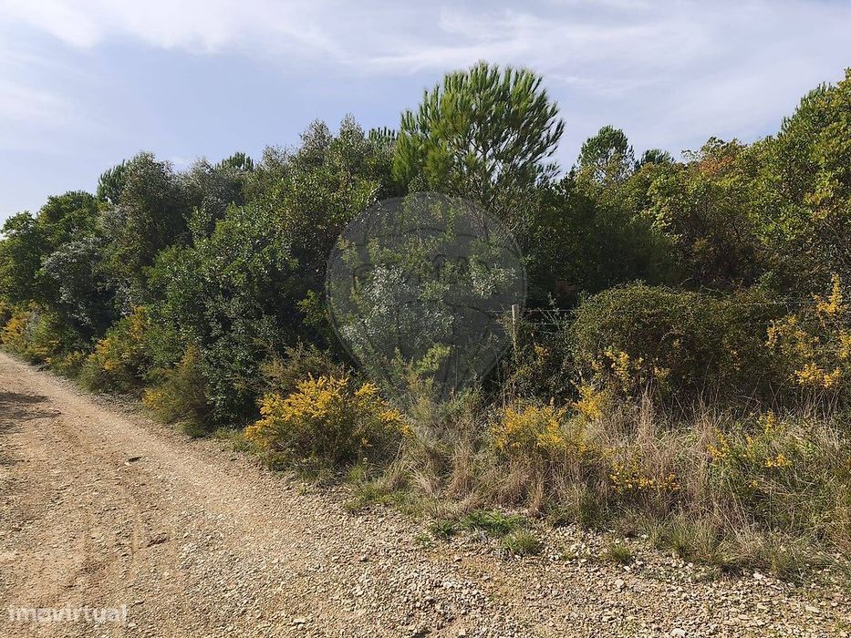Terreno  para venda