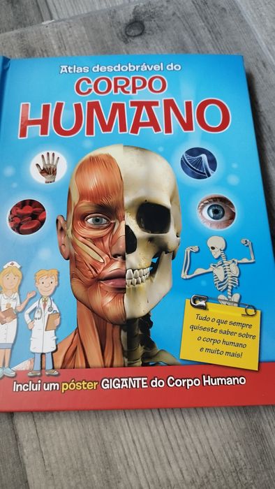 Dois livros de criança