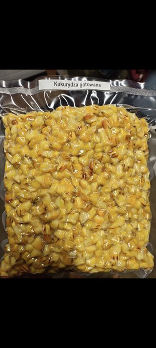 Kukurydza gotowana 24kg