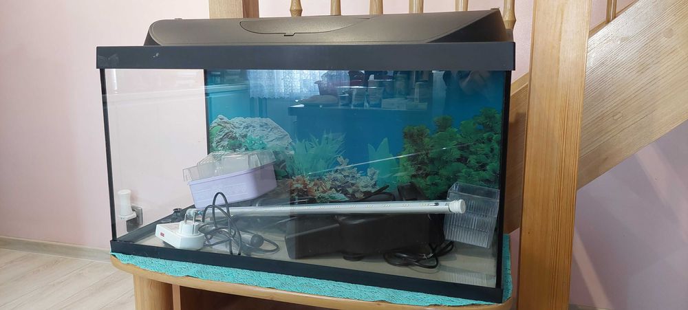 Akwarium 100l/80l Tetra
