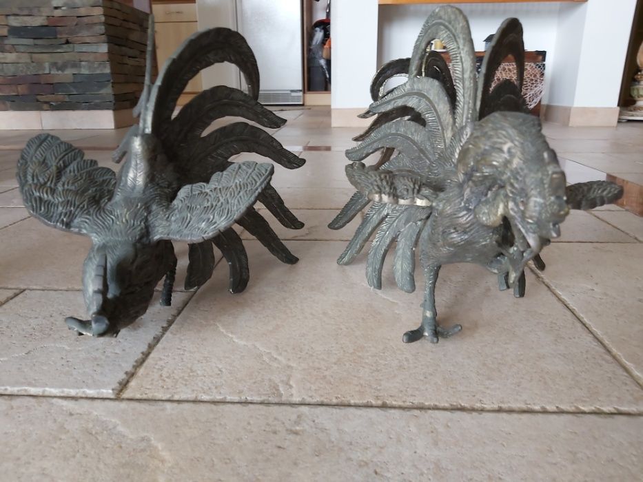 Galos Luta Antigos
